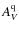 $A_{V}^{\rm q}$