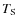$T_{\rm S}$