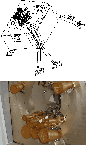 \begin{figure}
\par\includegraphics[width=7.5cm,clip]{figures/12853f10.ps}\vspace*{3mm}
\includegraphics[width=7.5cm,clip]{figures/12853f11.ps}
\end{figure}