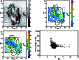 \begin{figure}
\par\includegraphics[scale=0.6]{f10.eps}
\end{figure}