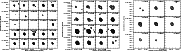 \begin{figure}
\par\mbox{\includegraphics[width=2.1in, angle=0]{13387fg3a.ps} \i...
...387fg3b.ps} \includegraphics[width=2.1in, angle=0]{13387fg3c.ps} }\end{figure}