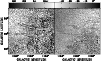 \begin{figure}
\par\includegraphics[width=8.7cm,clip]{13921f11.eps}
\end{figure}