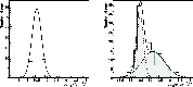 \begin{figure}
\par\includegraphics[width=15.5cm,clip]{14484fg3nv.eps}
\end{figure}