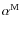 $\alpha^{\rm M}$