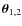 $\vec \theta_{1,2}$