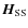 ${\vec H}_{\rm SS}$