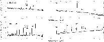 \begin{figure}
\par\includegraphics[angle=0,width=18cm]{14864fg2.eps}\vspace{2mm}
\end{figure}
