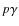 $p\gamma$