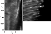 \begin{figure}
\par\includegraphics[width=9cm,clip]{12519fig3.eps}
\end{figure}