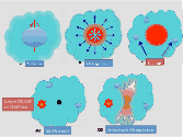 \begin{figure}
\par\includegraphics[height=12cm, angle=-90, width=17cm,clip]{13377fig1.eps}\vspace{-5mm}
\vspace{3mm}
\end{figure}