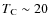 $T_{\rm C}\sim20$