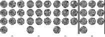 \begin{figure}
\par\mbox{ \subfigure[]{\includegraphics[angle=0,width=4.5cm]{148...
... \subfigure[]{\includegraphics[angle=0,width=4.5cm]{14800fg9d} }}
\end{figure}