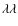 $\lambda \lambda$