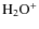 $\rm H_2O^+$