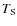 $T_{\rm S}$