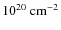 $\rm 10^{20}~cm^{-2}$