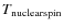 $T_{\rm nuclear spin}$