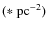 $\rm (*~pc^{-2})$