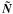 $\vec {\tilde N}$