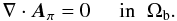 \begin{eqnarray} \nabla\cdot\bA_{\po} = 0 \;\;\;\;\; \mbox{in} \;\; \Omega_{\rm b} . \end{eqnarray}
