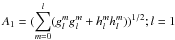 $A_{1}=(\displaystyle\sum_{m=0}^l (g^{m}_{l}g^{m}_{l}+h^{m}_{l}h^{m}_{l}))^{1/2}; l=1 $