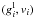 $(g^{\rm l}_{i},v_{i})$