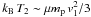 \hbox{$k_{\rm B}\, T_2 \sim \mu m_{\rm p}\,v_1^2 /3$}