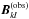 \hbox{$\vec{B}^{(\mathrm{obs})}_{kl}$}