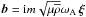\hbox{$\vec b = {\rm i} m \sqrt{\mu \overline\rho} \omega_{\rm A}\,\vec\xi$}