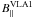 \hbox{$B_{||}^{\rm VLA1}$}