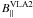 \hbox{$B_{||}^{\rm VLA2}$}