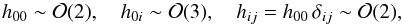\begin{equation} \label{mgord} h_{00}\sim {\cal O}(2),\quad h_{0i}\sim{\cal O}(3),\quad h_{ij}=h_{00}\,\delta_{ij}\sim{\cal O}(2), \end{equation}