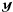 \hbox{$\Ymatb$}