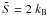 \hbox{$\tilde {S} = 2~k_{\rm B}$}