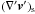 \hbox{$(\nabla'\vec{v}')_{\rm s}$}