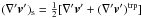 \hbox{$({\nabla}'\vec{v}')_{\rm s} = \frac{1}{2} [{\nabla}'\vec{v}'+ ({\nabla}'\vec{v}')^{\rm trp}]$}
