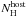 \hbox{$N_{\rm H}^{\rm host}$}