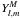 \hbox{$Y_{l,m}^M$}