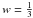 \hbox{$w = \frac{1}{3}$}