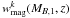 \hbox{$w^{k}_{\rm mag}(M_{B,1},z)$}