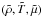 \hbox{$(\tilde\rho, \tilde T, \tilde\mu)$}