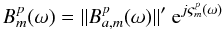 \begin{equation} \bpm=\|\bpam\|'\ {\rm e}^{j\varsigma_m^p(\omega)} \end{equation}