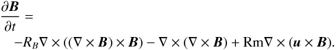 \begin{eqnarray} \lefteqn{\frac{\partial\vec{B}}{\partial t} = }\nonumber\\ \label{eq:normind} & & -R_{B}\nabla\times((\nabla\times\vec{B})\times\vec{B}) -\nabla\times(\nabla\times\vec{B})+{\rm Rm}\nabla\times(\vec{u}\times\vec{B}). \end{eqnarray}