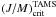 \hbox{$(J/M)_{\rm crit}^{\rm TAMS}$}