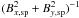 \hbox{$(B_{x,\rm sp}^2+B_{y,\rm sp}^2)^{-1}$}