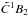 \hbox{$\tilde{C}^1B_2$}