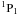 \hbox{$^1\rP_1$}