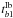 \hbox{$t_{b1}^{\rm Ib}$}