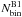 \hbox{$N_{\rm bin}^{\rm B1}$}