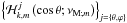 \hbox{$\left\{{\mathcal H}_{k,m}^{j}\left(\cos\theta;\nu_{{\rm M};m}\right)\right\}_{j=\left\{\theta,\varphi\right\}}$}